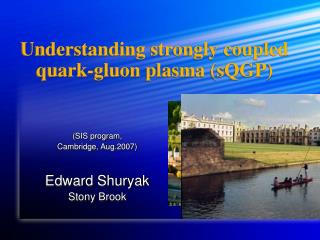 Understanding strongly coupled quark-gluon plasma (sQGP)