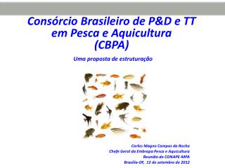 Consórcio Brasileiro de P&amp;D e TT em Pesca e Aquicultura (CBPA) Uma proposta de estruturação