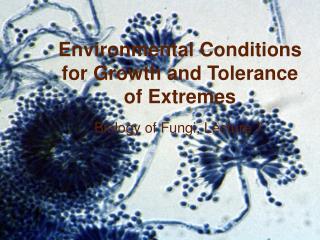 Environmental Conditions for Growth and Tolerance of Extremes
