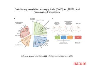 M Enquist-Newman et al. Nature 000 , 1-5 (2013) doi:10.1038/nature12771