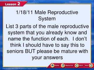 1/18/11 Male Reproductive System