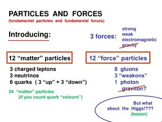 12 “matter” particles