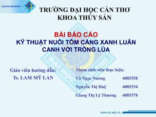 Giáo viên hướng dẫn: Ts. LAM MỸ LAN