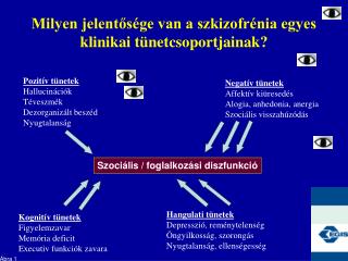 Milyen jelentősége van a szkizofrénia egyes klinikai tünetcsoportjainak?