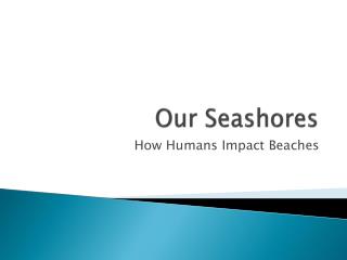Our Seashores