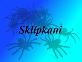 Sklípkani