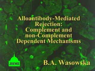 Alloantibody-Mediated Rejection: Complement and non-Complement Dependent Mechanisms