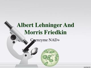 Albert Lehninger And Morris Friedkin