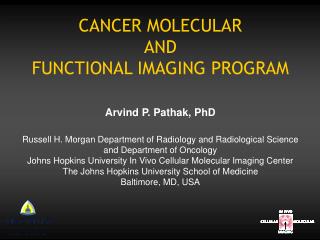 CANCER MOLECULAR AND FUNCTIONAL IMAGING PROGRAM