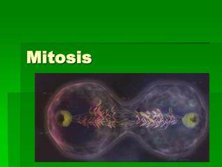 Mitosis