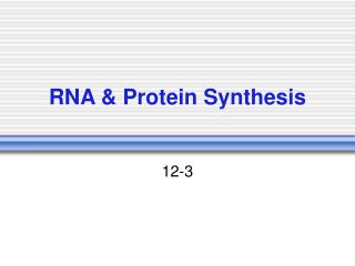 RNA &amp; Protein Synthesis