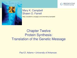 Chapter Twelve Protein Synthesis: Translation of the Genetic Message