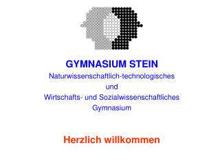 GYMNASIUM STEIN Naturwissenschaftlich-technologisches und