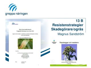 13 B Resistenstrategier Skadegörare/ogräs