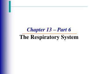 Chapter 13 – Part 6 The Respiratory System