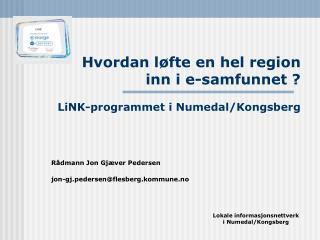 Hvordan løfte en hel region inn i e-samfunnet ? LiNK-programmet i Numedal/Kongsberg