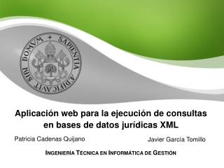 Aplicación web para la ejecución de consultas en bases de datos jurídicas XML