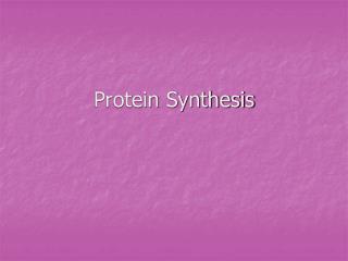 Protein Synthesis