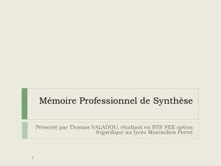 Mémoire Professionnel de Synthèse