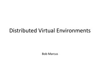 Distributed Virtual Environments