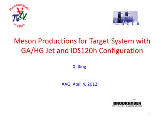 Meson Productions for Target System with GA/HG Jet and IDS120h Configuration