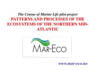 The Census of Marine Life pilot project