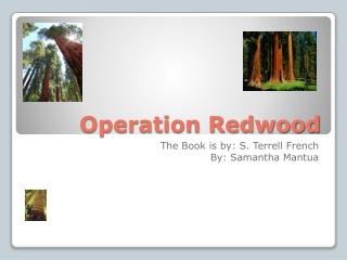 Operation Redwood