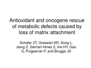 Antioxidant and oncogene rescue of metabolic defects caused by loss of matrix attachment