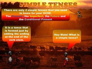 SIMPLE TENSES