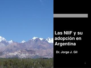 Las NIIF y su adopción en Argentina