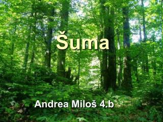 Šuma