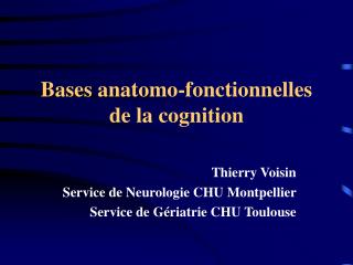 Bases anatomo-fonctionnelles de la cognition