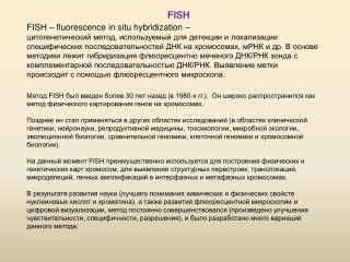 FISH – fluorescence in situ hybridization –