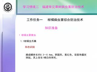 学习情境二 福建常见果树病虫害防治技术