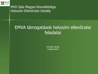MVH Zala Megyei Kirendeltsége Helyszíni Ellenőrzési Osztály