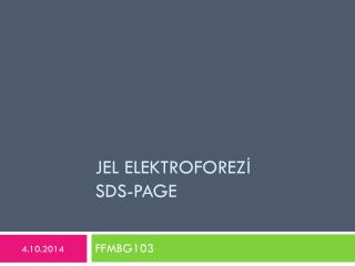 JEL ELEKTROFOREZİ SDS-PAGE