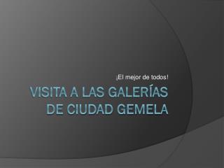 VISITA A LAS GALERÍAS DE CIUDAD GEMELA