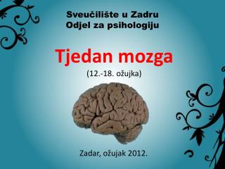 Tjedan mozga (12.-18. ožujka)