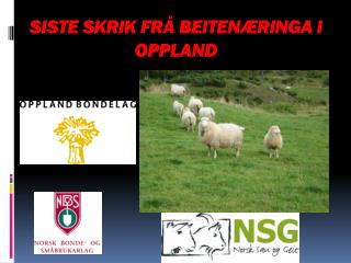 SISTE SKRIK FRÅ BEITENÆRINGA I OPPLAND