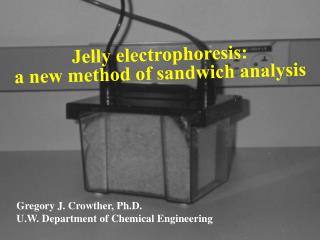 Jelly electrophoresis: a new method of sandwich analysis