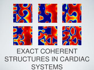 EXACT COHERENT STRUCTURES IN CARDIAC SYSTEMS