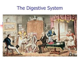 The Digestive System