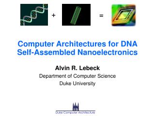 Computer Architectures for DNA Self-Assembled Nanoelectronics