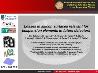 Losses in silicon surfaces relevant for suspension elements in future detectors