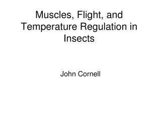 Muscles, Flight, and Temperature Regulation in Insects