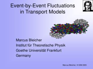 Event-by-Event Fluctuations in Transport Models
