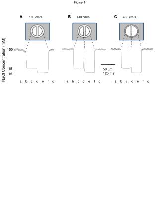 NaCl Concentration (mM)