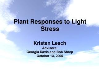 Plant Responses to Light Stress