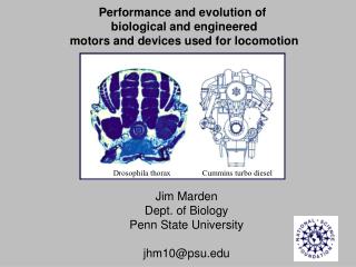 Performance and evolution of biological and engineered motors and devices used for locomotion