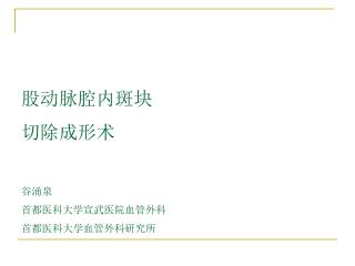 股动脉腔内斑块 切除成形术 谷涌泉 首都医科大学宣武医院血管外科 首都医科大学血管外科研究所